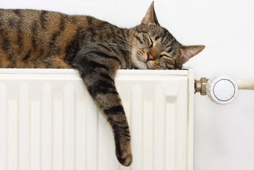 cat napping on the heating